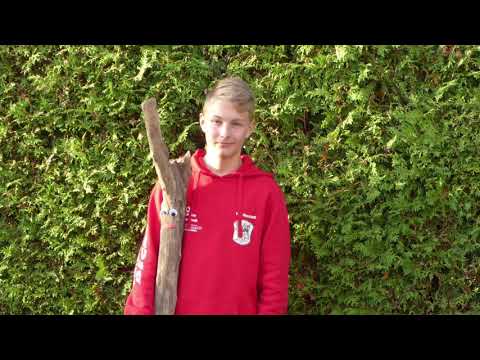 Ich und mein Holz By Philipp Schlosser