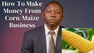 How To Make Money From Corn/Maize Business - a step by step maize business masterclass
