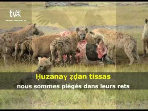 Lounès MATOUB - en duo avec Idir "Ay izem" sous-titrage (Kabyle/Français)