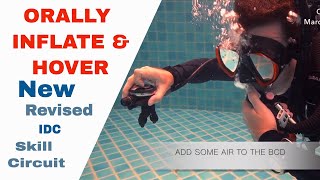 Orally Inflate BCD to Hover | PADI Divemaster and IDC Skill Circuit