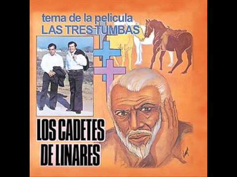 Miniatura de Hermanos bocanegra