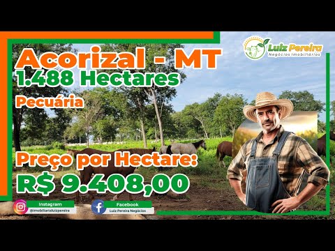 Fazenda em Acorizal MT, 1.488 Hec.,Pecuária,  com 22 divisões de pasto, R$ 9.000,00 por Hec