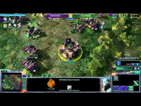 ESCGoody vs Mouz.Mana G2 TvP Dual Sight.avi