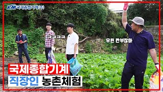 국제 신입사원들의 농촌체험 (농촌판 오징어게임)