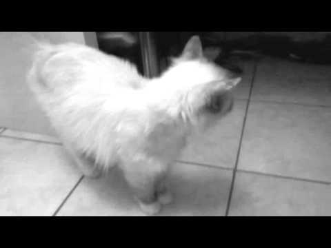 Tales of Princess Martika #2