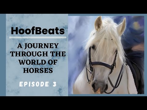 Hoofbeats: A Journey Through The World of Horses Episode 3 l Breeds of Horses - Pet and Wild