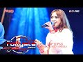 ROLLYSTA BROW TOP TOPAN CITA AMELIA ANIVERSARI DELOR FAMILY DEMANGAN WARUREJA TEGAL 2022
