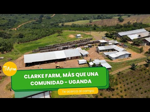 Clarke Farm, más que una comunidad - Uganda - TvAgro por Juan Gonzalo Angel Restrepo