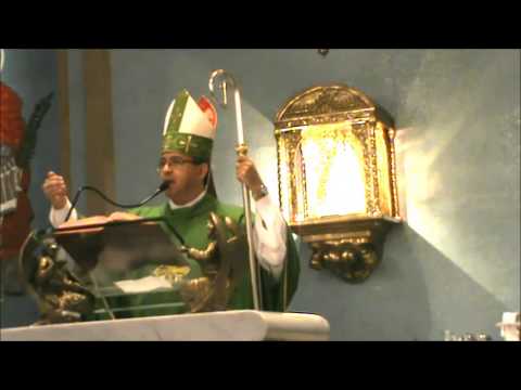 Homilia-Dom José Francisco Falcão-Missa do 7º Domingo Comum-23/2/2014-PASMASE- Brasilia-DF