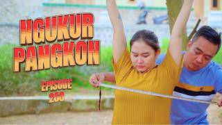 Download lagu NGUKUR PANGKON || KOMEDI JAWA EPS 260 mp3 Download lagu NGUKUR PANGKON || KOMEDI JAWA EPS 260 mp3