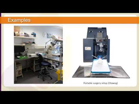 Best Practices For Lab Set Up