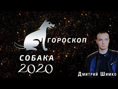 Гороскоп Собака -2020. Астротиполог, Нумеролог - Дмитрий Шимко
