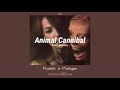 Animal Cannibal - Karen Skladany | แปลไทย | @iAei