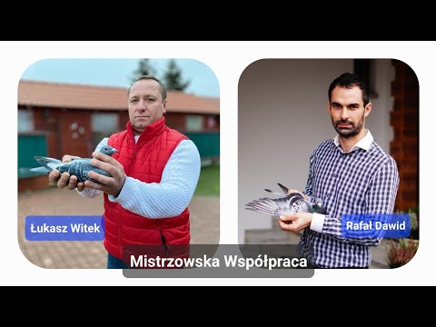 Rafał Dawid & Łukasz Witek - PZHGP 458 Staszów / Mistrzowska Współpraca 🏆🥇🎉🇵🇱