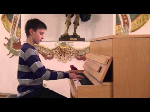 M.Schmitz. The Boogie Chicken from the children's musical  "Max and Moritz"