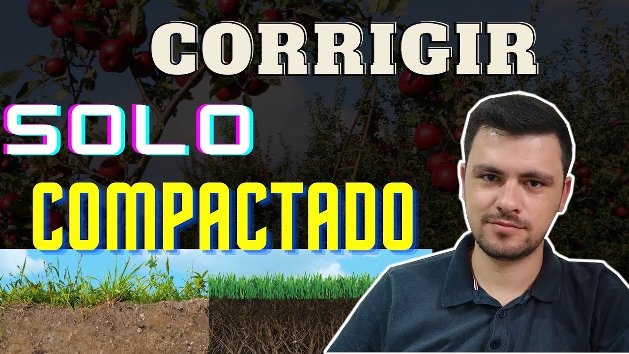 Solo COMPACTADO, tem como corrigir?