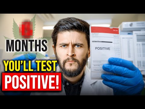 How long will THC REALLY show up on a drug test? The truth they don’t tell you