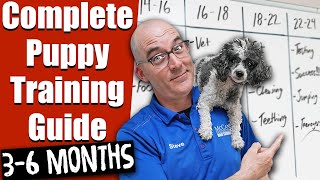 Your Complete Puppy Training Schedule 12 - 24 Weeks!