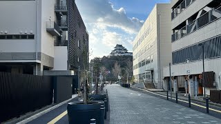 甥っ子のお遊戯会