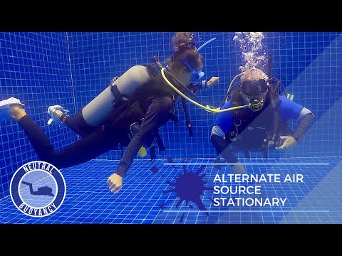 Diving Rescue Tips: Alternate Air Source 🤿 PADI Divemaster Skills Circuit (Scuba Diving Tutorial)