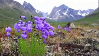 Students on Ice Arctic 2014 Expedition: The Greenland Experience