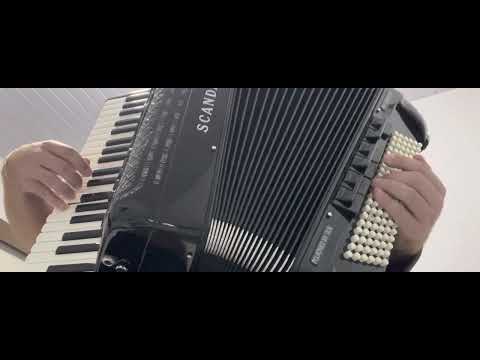 Te amo demais Marilia Mendonça cover solo sanfona Scandalli