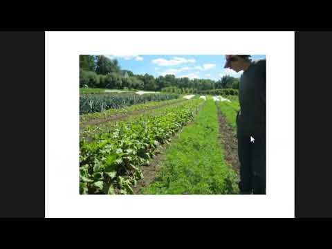 Elizabeth Henderson, Northeast Organic Farming Association (New York Soil Health Summit)