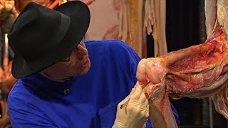 Anatomy for Beginners - Lesson 1: Movement