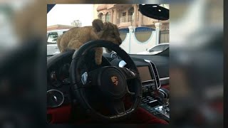 Download lagu ASIK - клятвы (SPEED UP) mp3