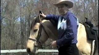 documentary &quot;A Talk with Cowboy Dave&quot;