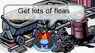 Walk With the Wise - Club Penguin