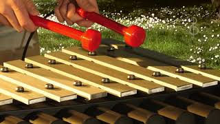 Cadenza Maya Outdoor Instrument video thumbnail 1