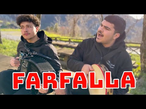 FARFALLA (I GIOVANI DELL'ORGANETTO) - COVER