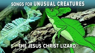 Jesus Christ Lizard | Songs for Unusual Creatures | PBS Digital Studios