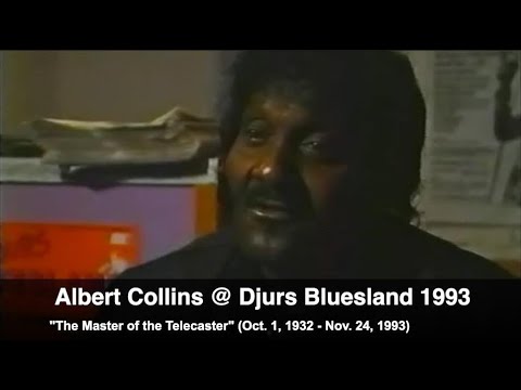ALBERT COLLINS @ DJURS BLUESLAND FESTIVAL 1993