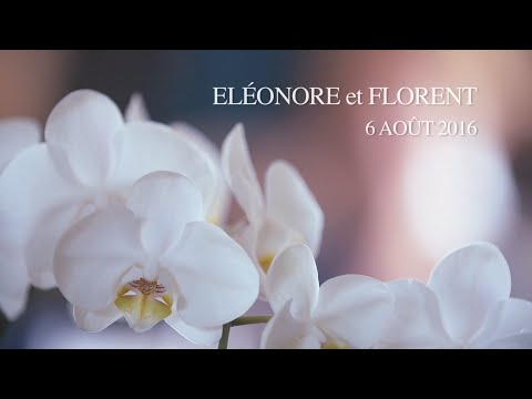 Eléonore et Florent - Wedding day