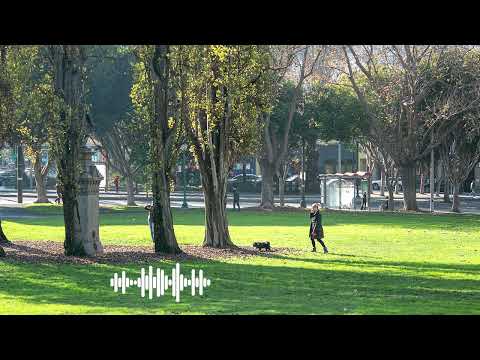 City Park [Sound Effect/Ambience]