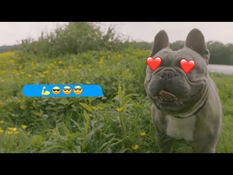 peterjabin Ft. Emy - Új vágy (Official Music Video)