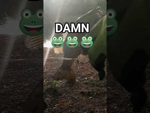 These Damn Frogs... While I'm Trying to Fish!🤬🐸🎣🤣