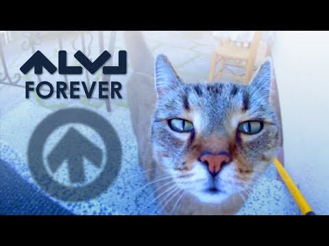High Level - Forever (Official Video)