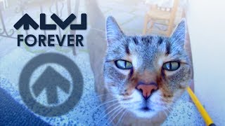 High Level - Forever (Official Video)