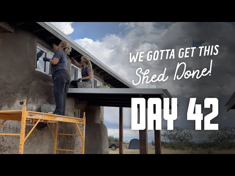 Get This Shed Done - Day 42 - Nine Nine Intro, Final Balls on the Walls, More Exterior Plaster Coat