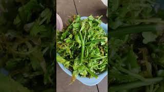 Download lagu My Sister Came to Visit… Then We Went Up the Hill for Tarap & Rambutan! 🌿😂 mp3 Download lagu My Sister Came to Visit… Then We Went Up the Hill for Tarap & Rambutan! 🌿😂 mp3