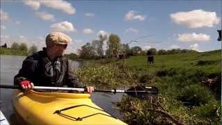 preview picture of video 'Kayaks, Cows & Sunshine.'