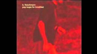 B. Fleischmann - Slopes