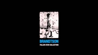 Shannon Said / Brandtson