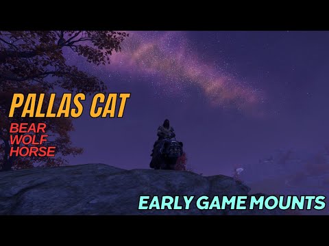 How to Get All Early Game Mounts