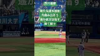 【ヤクルト】西川遥輝 応援歌