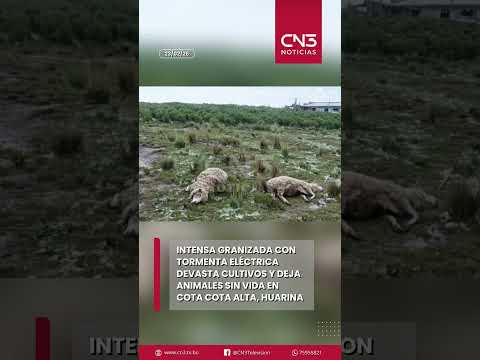 Una fuerte granizada acompañada de tormenta eléctrica afectó a la comunidad de Cota Cota Alta
