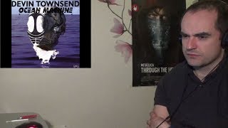 Devin Townsend Saturday - Thing Beyond Things Reaction